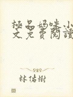 极品妈咪小说全文免费阅读封面