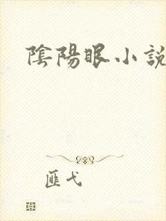 阴阳眼小说封面