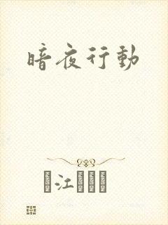 暗夜行动