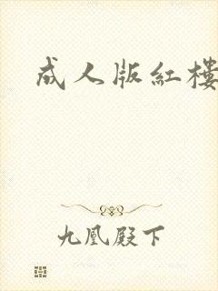 成人版红楼梦封面