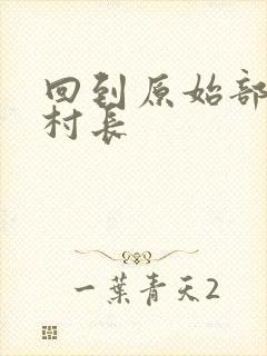 回到原始部落当村长