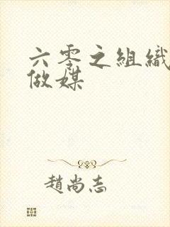 六零之组织给我做媒