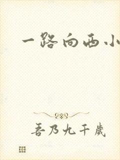 一路向西小说