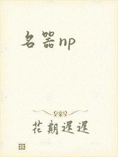 名器np