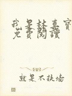 我是林喜宝小说免费阅读封面