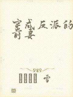 穿成反派的炮灰前妻封面