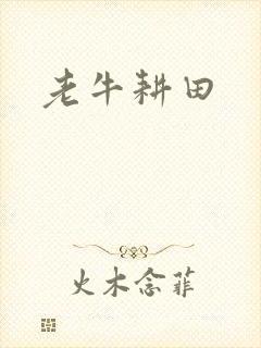 老牛耕田