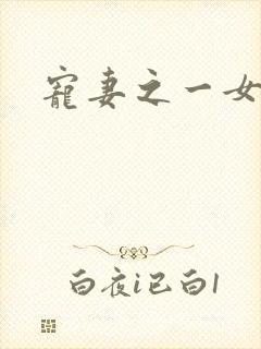 宠妻之一女二夫