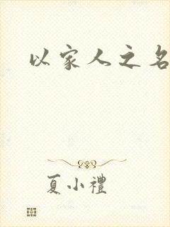 以家人之名小说