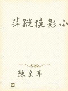 萍踪侠影小说封面