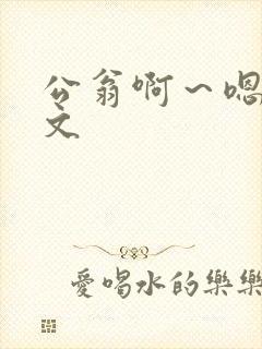 公翁啊～嗯啊h文