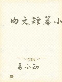 肉文短篇小说