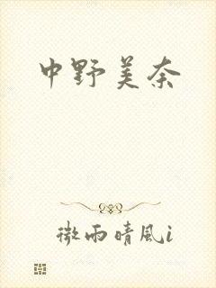 中野美奈封面