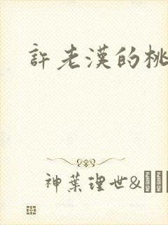 许老汉的桃花运