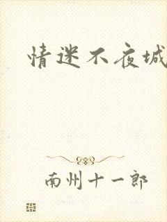 情迷不夜城