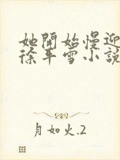 她开始慢迎迎合徐平雪小说封面