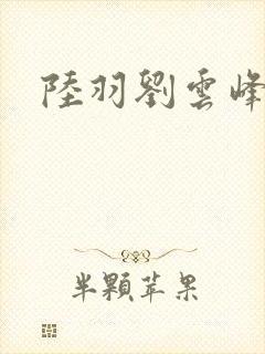 陆羽刘云峰封面