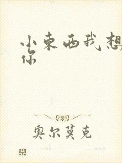 小东西我想弄坏你