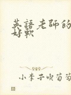 英语老师的兔子好软