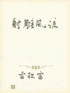 射雕风流