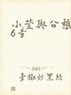 小莹与公憩第26章