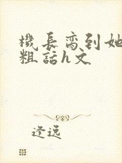 机长脔到她哭h粗话h文封面