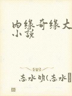 内缘奇缘大团圆小说