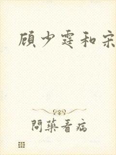 顾少霆和宋斯曼