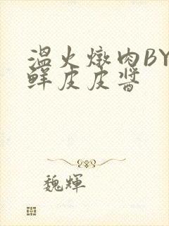 温火炖肉BY海鲜皮皮酱