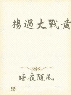 杨过大战黄蓉封面