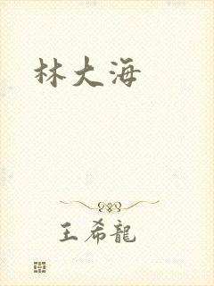 林大海封面