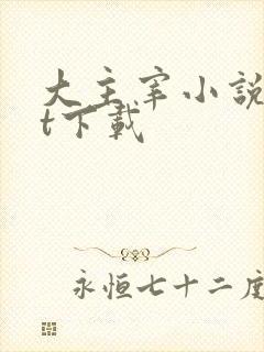 大主宰小说txt下载