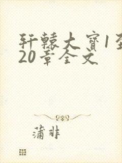 轩辕大宝1至720章全文