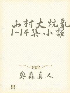 山村大炕乱肉续1-14集小说封面