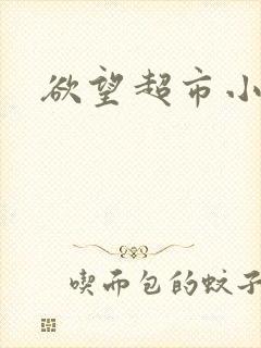 欲望超市小说