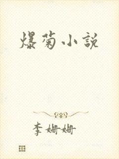 爆菊小说