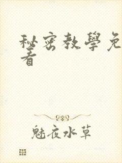 秘密教学免费观看