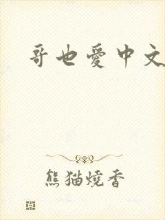 哥也爱中文封面
