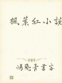 枫叶红小说