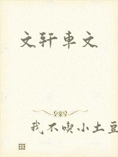 文轩车文