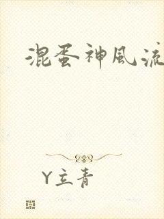 混蛋神风流