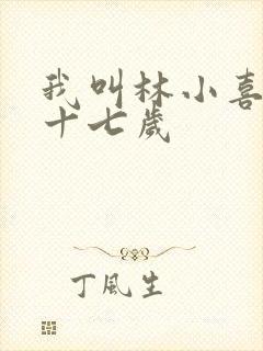 我叫林小喜今年十七岁