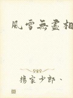 风雪无尽相思情封面