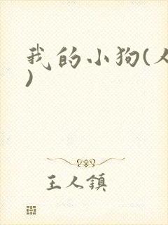 我的小狗(人外)