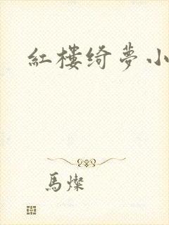 红楼绮梦小说封面