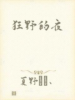 狂野的夜