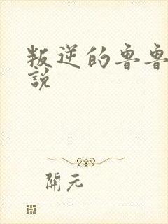 叛逆的鲁鲁修小说封面