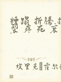 糟蹋 折腾 撕裂 疼 死 哀求封面