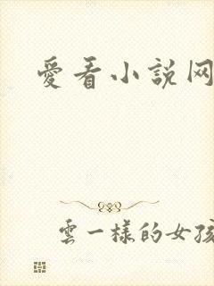 爱看小说网