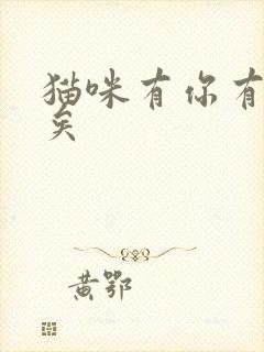 猫咪有你有我足矣
